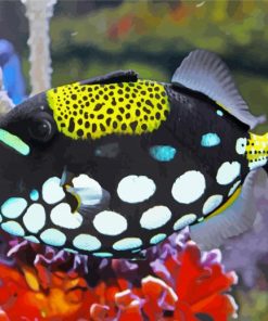 Clown Triggerfish Paint By Number