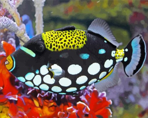 Clown Triggerfish Paint By Number
