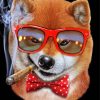 Cool Dog With Cigar Paint By Number