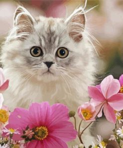 Cute Cat And Flowers Paint By Number