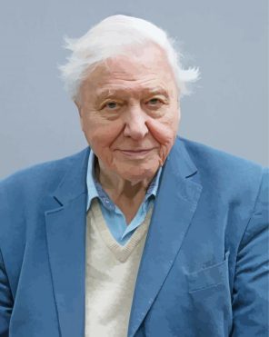 David Attenborough Paint By Number