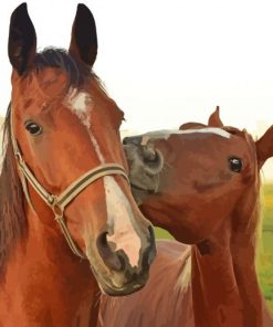 Happy Horses Couple Paint By Number