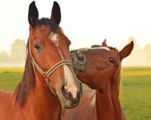 Happy Horses Couple Paint By Number