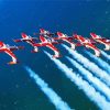 Military Snowbirds Show Paint By Number