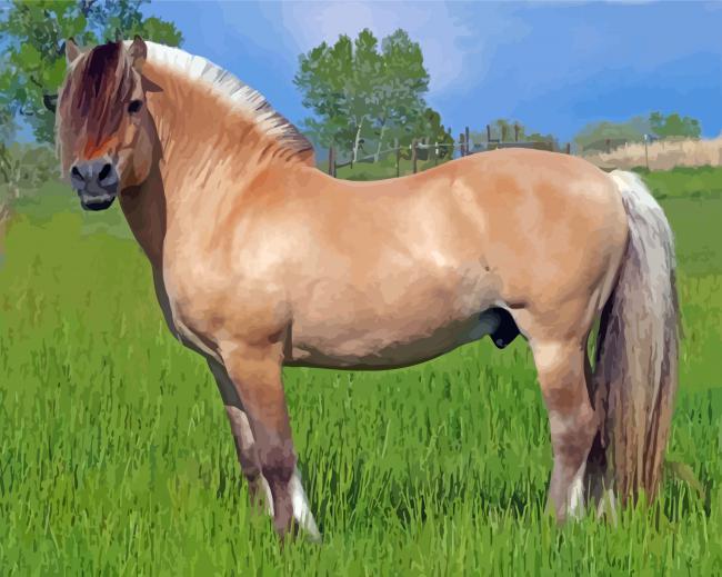 Norwegian Fjord Horse Paint By Number