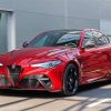 Red Giulia Paint By Number
