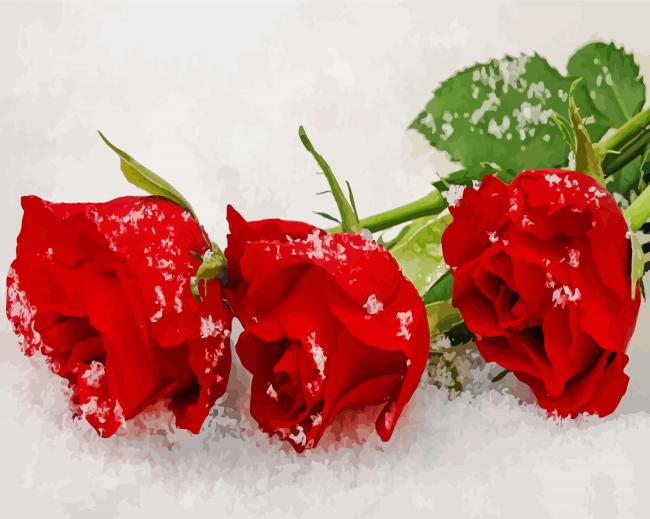 Red Winter Roses Paint By Number