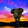 Tropical Elephant Sunset Paint By Number
