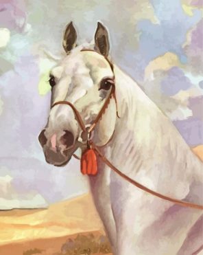 White Vintage Horse Paint By Number