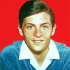 Young Burt Ward Paint By Number