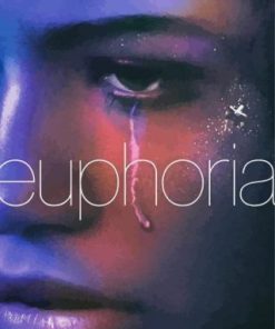 Euphoria Poster paint by number